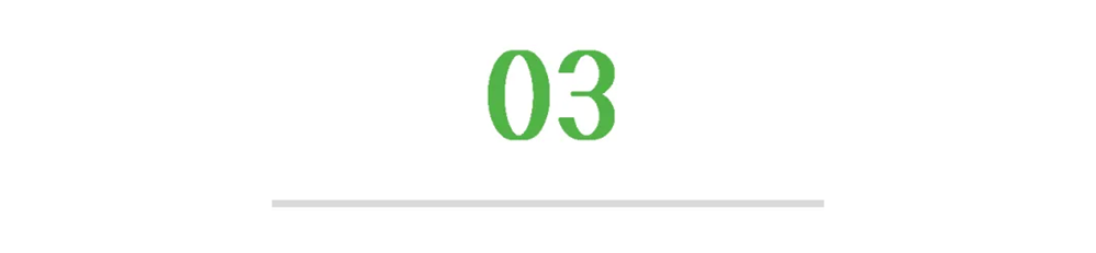 048ea994fdbc499993894f65beb12a10.Png
