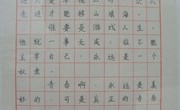 “雷锋名言”硬笔书法比赛获奖名单