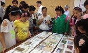 “七彩夏日”2015暑假未成年人教育实践活动之集邮夏令营