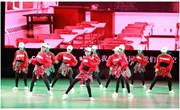 我校荣获2017年常熟市中学生文艺汇演二等奖