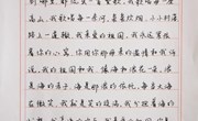 我校举行新中国成立70周年新入职教师书法比赛